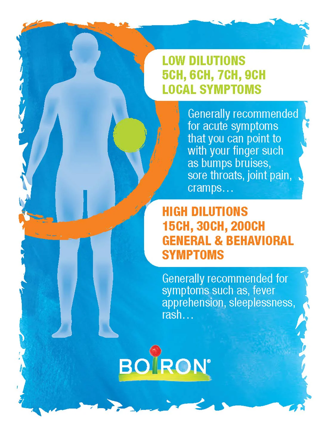 Boiron - Belladonna 30ch (80ct) - Image 3