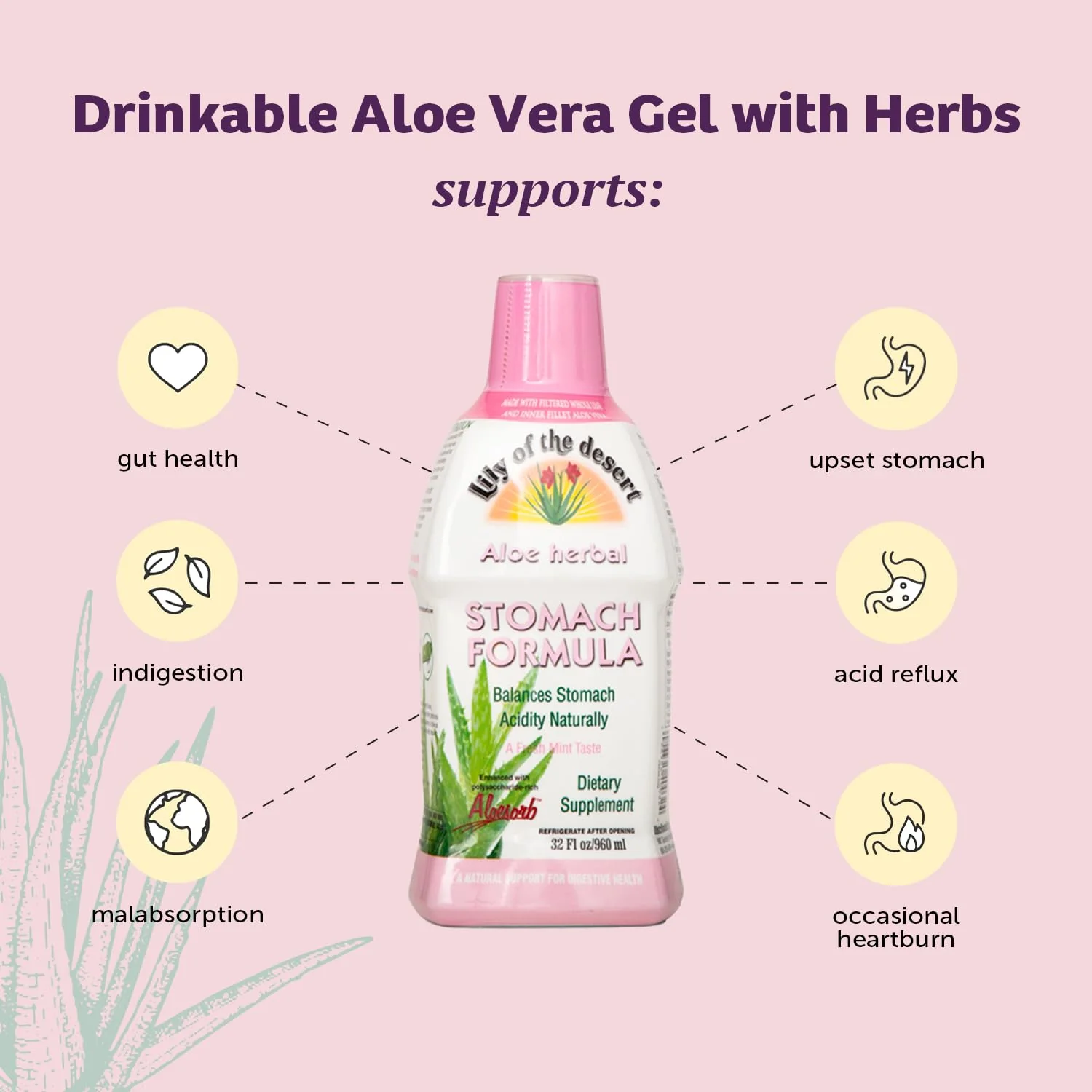 Lily Of The Desert - Aloe Herbal Stomach Formula (946ml) - Image 10