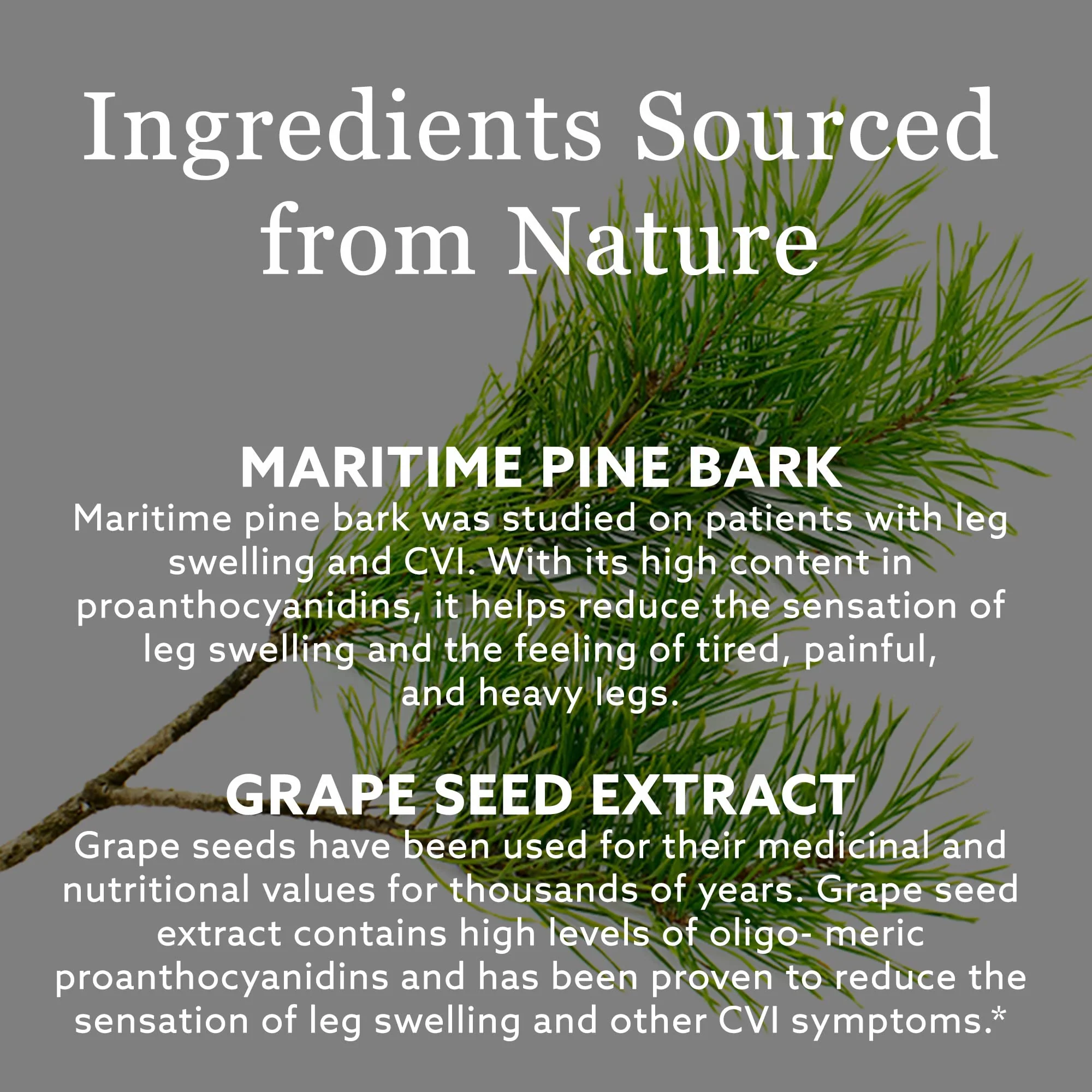 New Nordic - Active Legs Strong (30tab) - Image 4