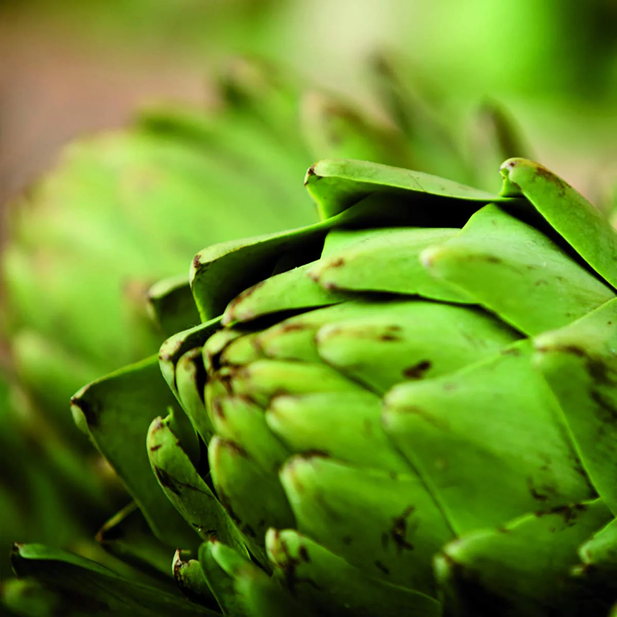 New Nordic - Active Liver (30tab) - Image 8