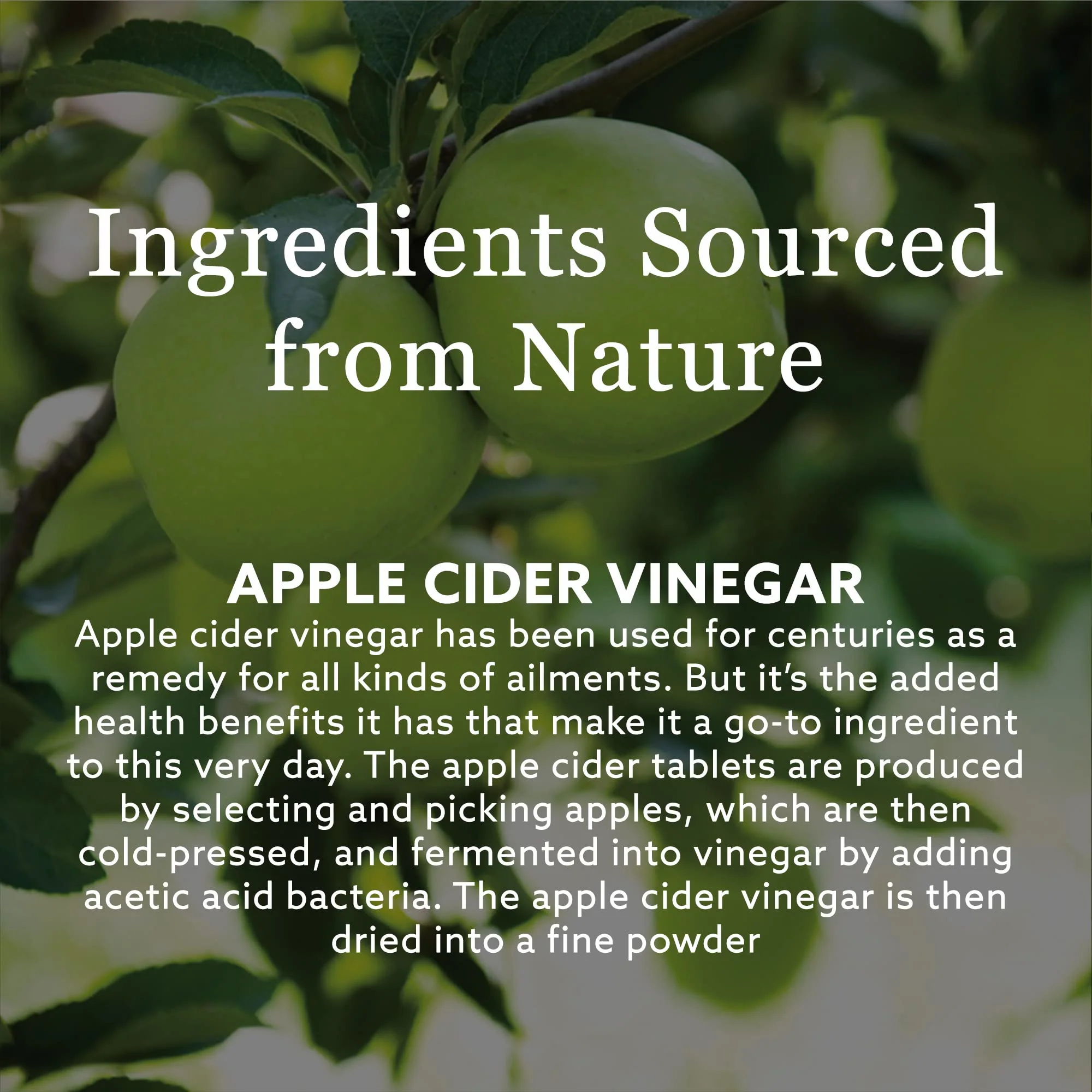 New Nordic - Apple Cider 1000 Mg (30tab) - Image 4