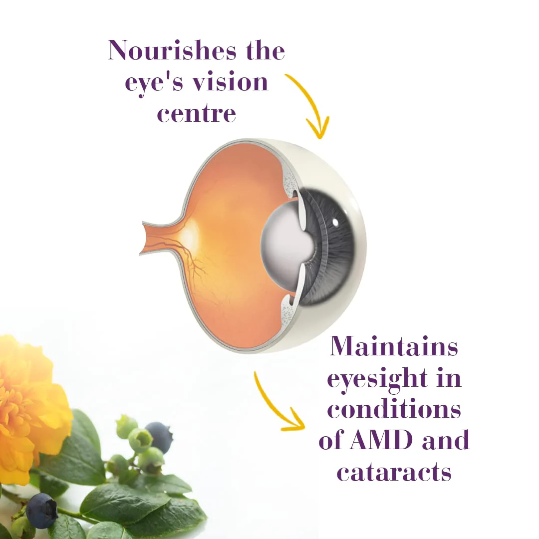 New Nordic - Blue Berry Strong (60tab) - Image 7