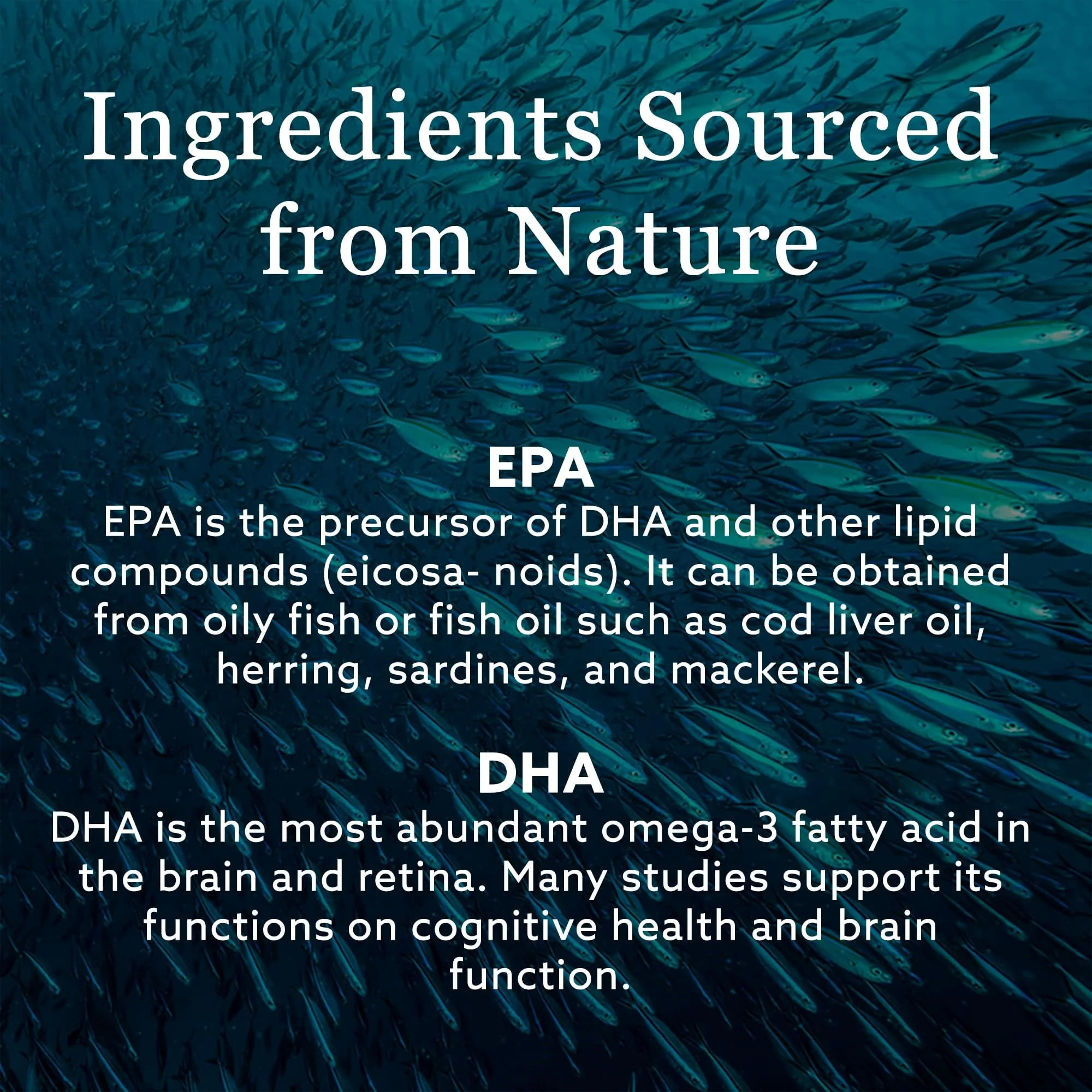 New Nordic - Equazen (180ch) - Image 3