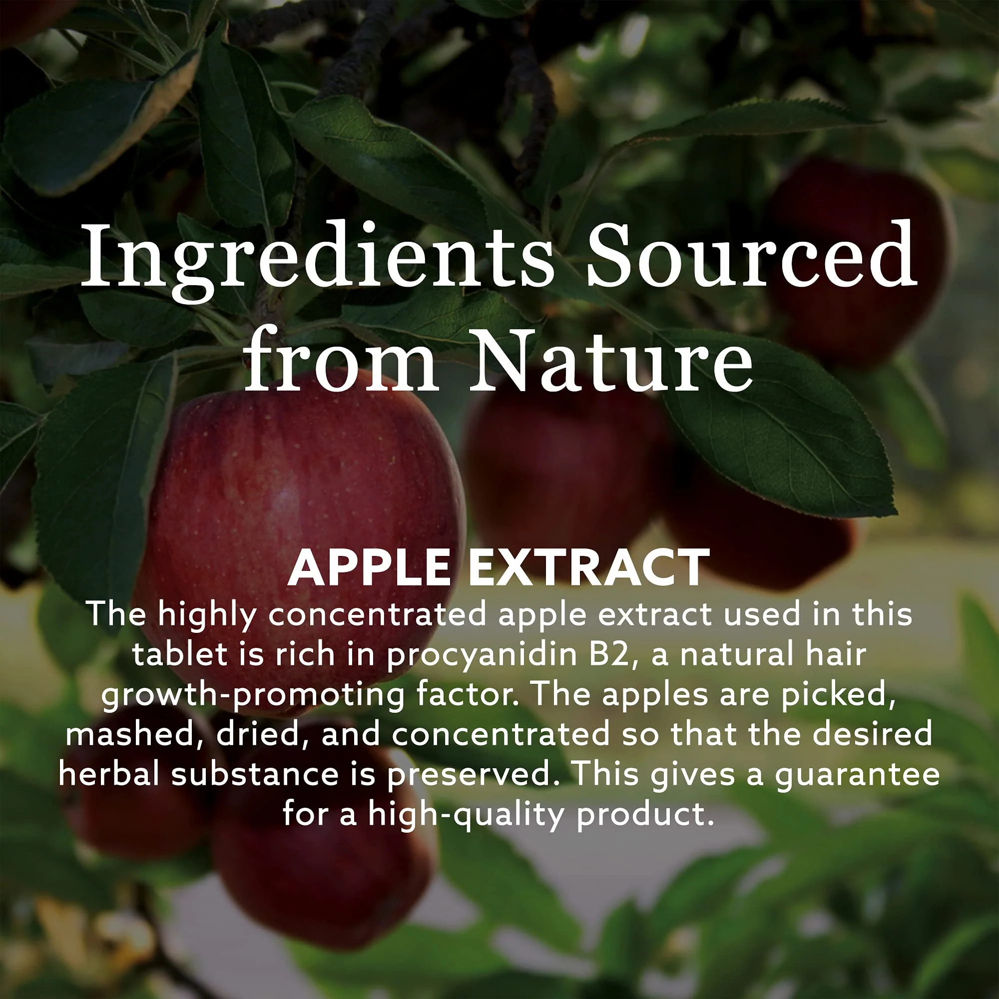 New Nordic - Hair Volume (30tab) - Image 4