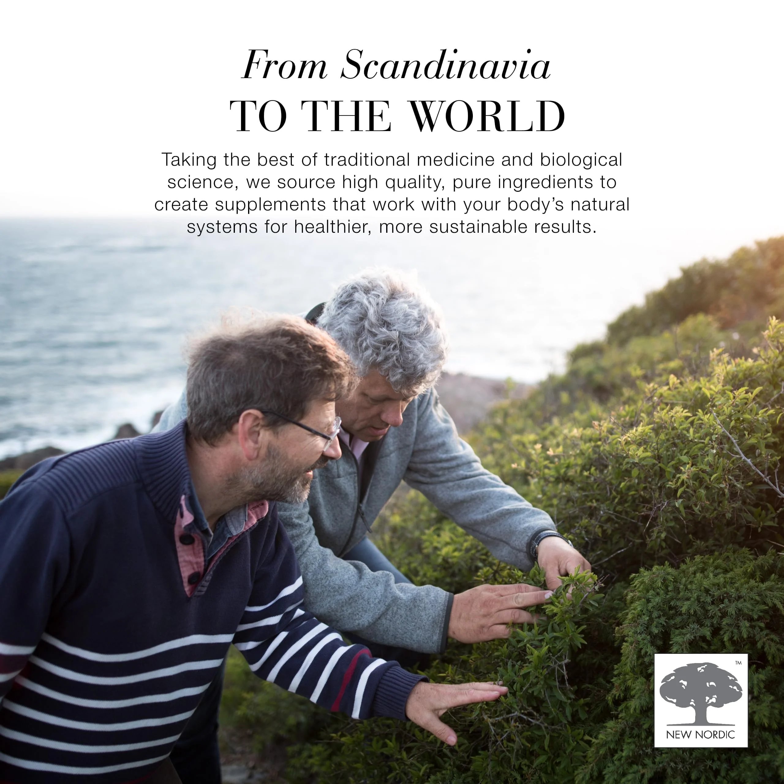 New Nordic - Hair Volume Gummies (60ct) - Image 7