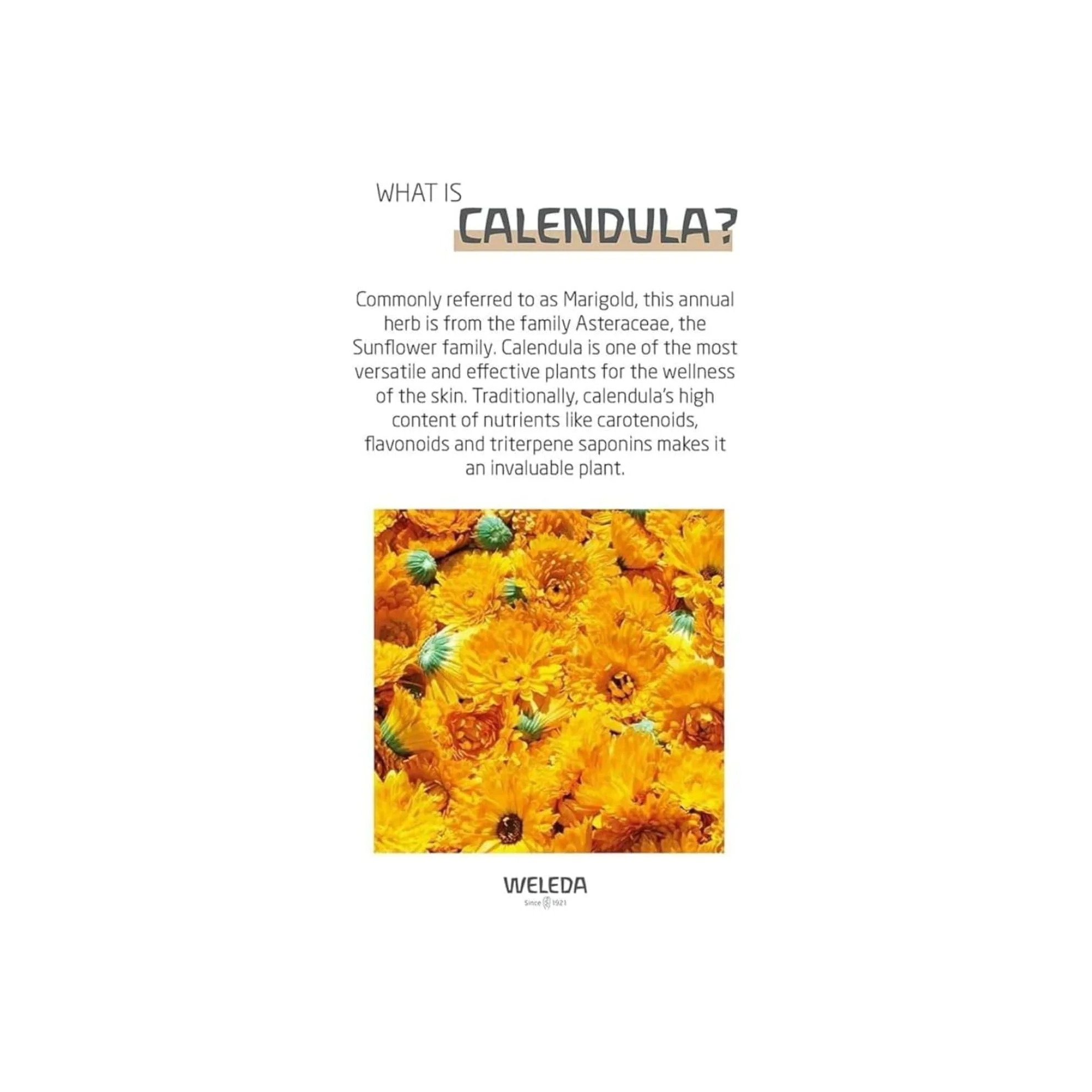 Weleda - Comforting Baby Oil (200ml) - Image 7