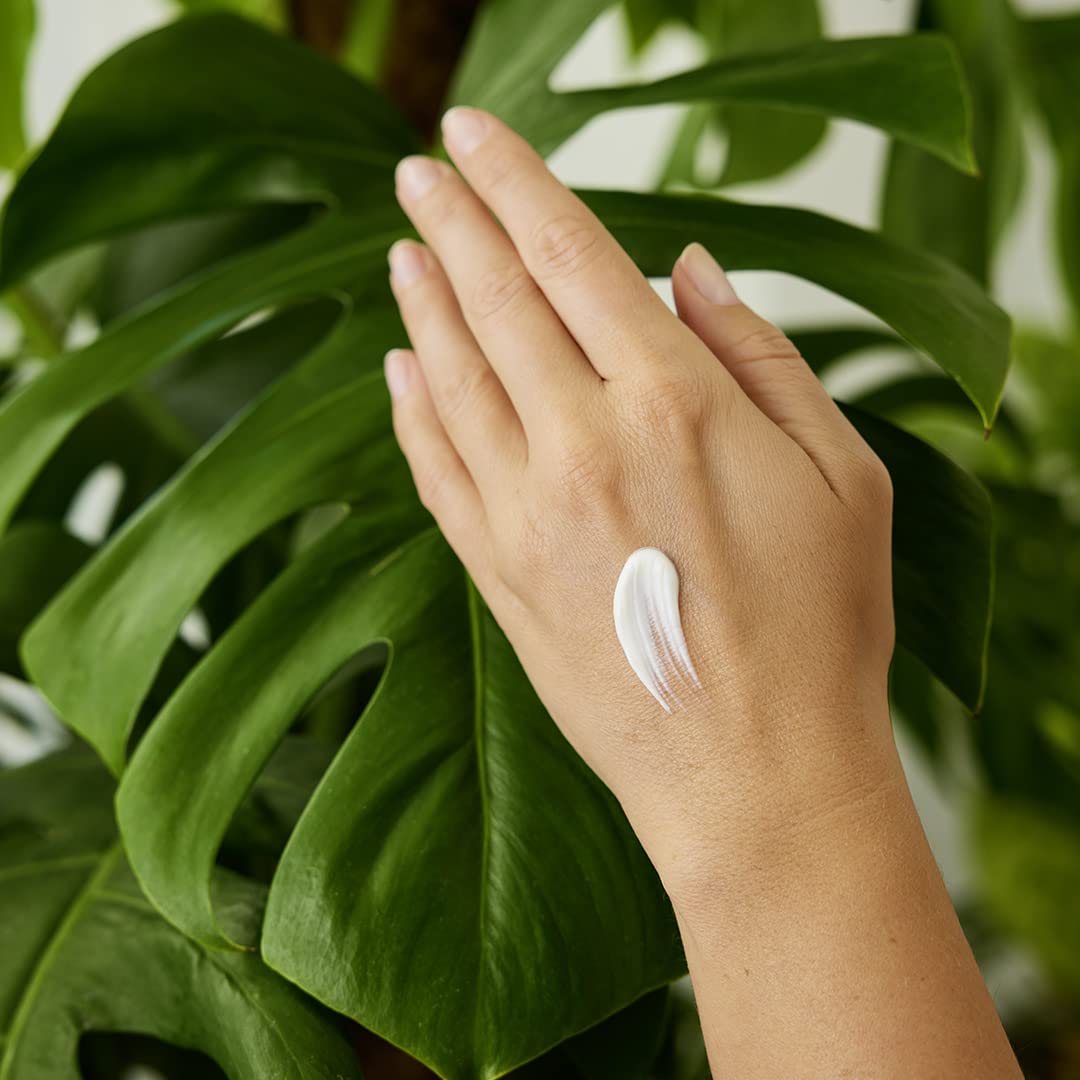 Weleda - Hydrating Hand Cream (50ml) - Image 4