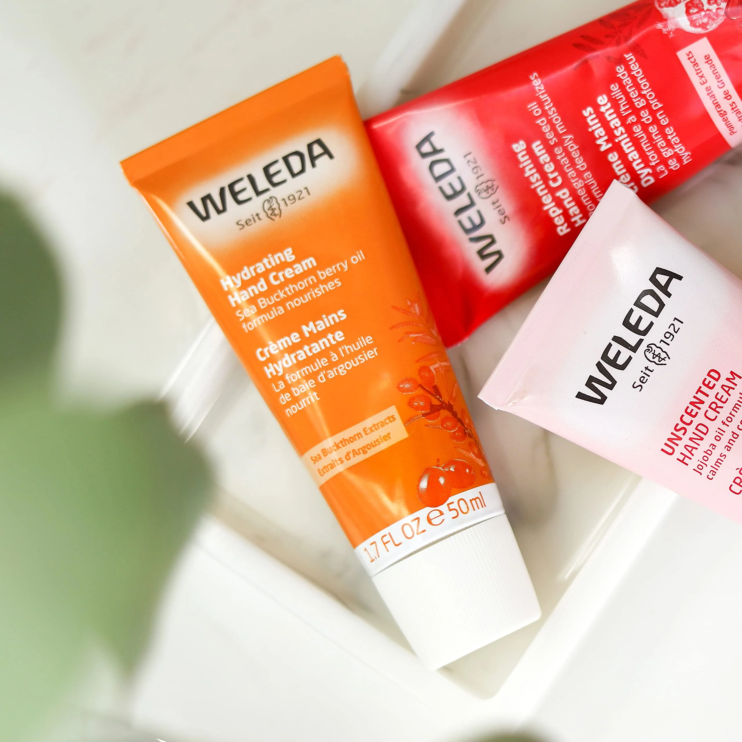 Weleda - Hydrating Hand Cream (50ml) - Image 7